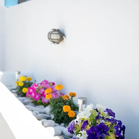 Marianthi's House Émbonas